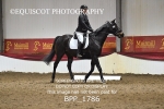 BPP_1786