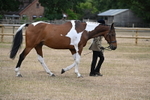 WJ6_7885