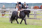 SBM_08491