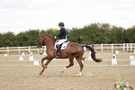 SBM_009451