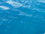 P92602120403