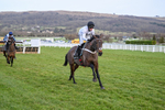 250125-Race 5-Constitution Hill-4729