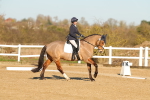 SBM_004681