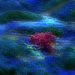 Red Heart Abstract