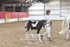 JAC_5973