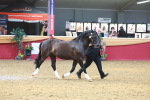 SBM_16688