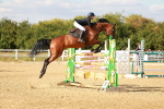 SBM_007772