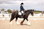 SBM_06194