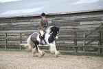 SBM_008022