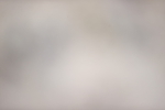 SBM_004223