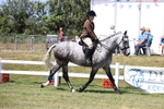 3E7A7975