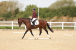 SBM_000469