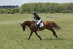 BVHT 140517  IXC -417
