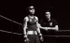 The Boxer