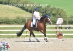 CLASS 27 My Quest Open Novice Test 2 portfolio