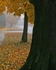 Misty Morning 11 x 14