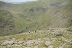 Duddon Long-627