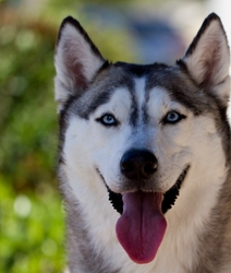 AnimalsCreatures _0078