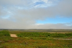 Varanger peninsula, Troms og Finnmark, Norway
