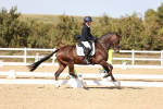 SBM_006302