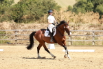 SBM_001641
