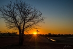 Sundown at the Trough