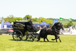 SBM_06637