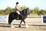 SBM_00367