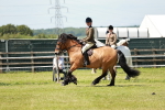 SBM_07075
