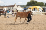 SBM_06882