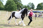 WJ6_6594