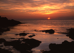 Dunure 04