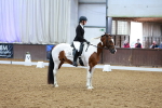 SBM_002209