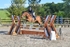 BPP_8674