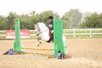SBM_000308