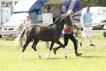 SBM_02430