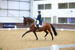 SBM_006201