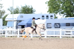 SBM_10868
