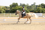 SBM_003029