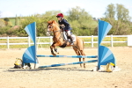 SBM_000798