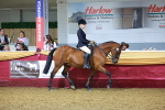 SBM_15877