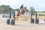 BPP_8619
