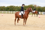 SBM_001384
