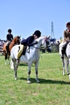 SBM_15426