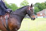 SBM_02805