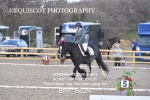 BPP_8624