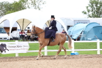 SBM_03214