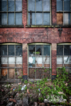 Fernhurst Mill 5
