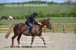 CLASS 14  SAT Senior British Novice/ 90cm Open portfolio