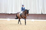 SBM_002353